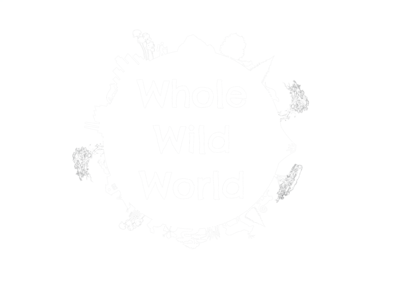 Whole Wild World