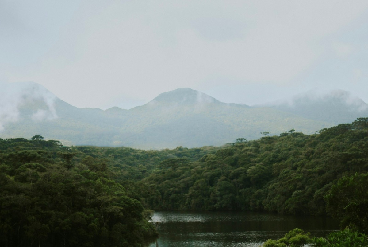 Mist rolling through the mountains of the Atlantic Forest