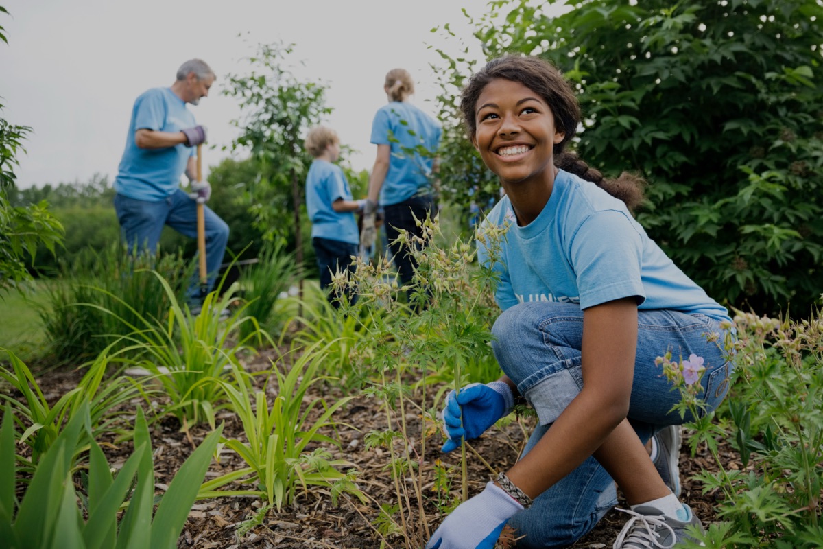 Volunteers planting young trees together in a community green space
